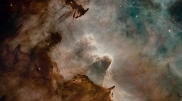 El hombre espacio
