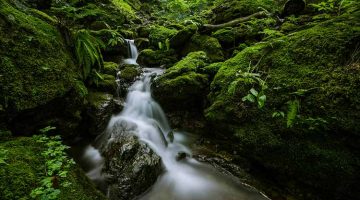 Las aguas de la salvación