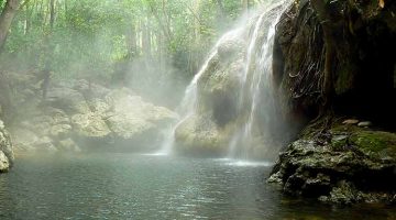 Jesucristo, agua purificadora
