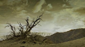 Las tentaciones de Jesús (Mt 4, 1-11)