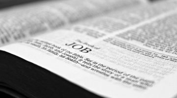 El santo Job como imagen de Jesucristo
