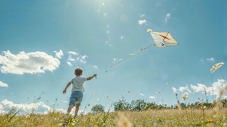 Niño con una cometa