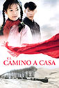 El camino a casa
